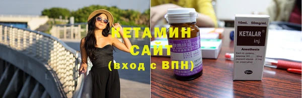 дживик Ельня