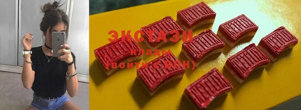 дживик Ельня