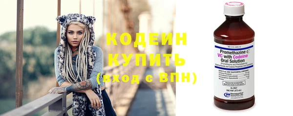 дживик Ельня