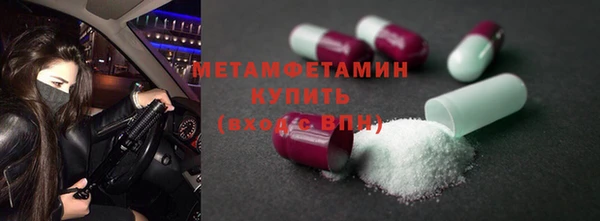 дживик Ельня