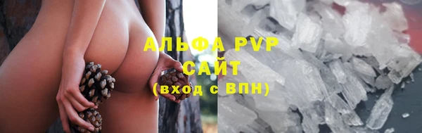 дживик Ельня