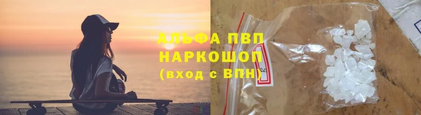 дживик Ельня