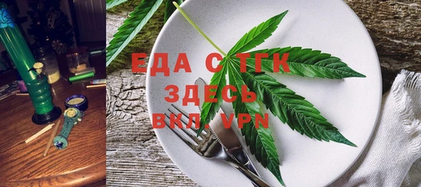 дживик Ельня