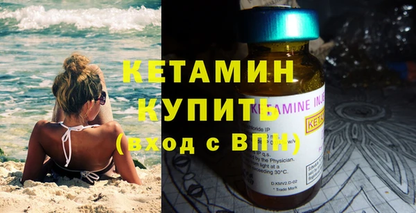 дживик Ельня
