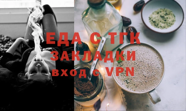 дживик Ельня