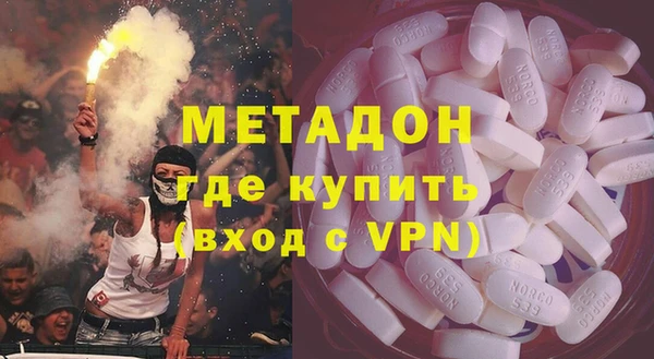 дживик Ельня