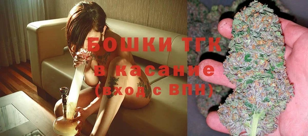дживик Ельня