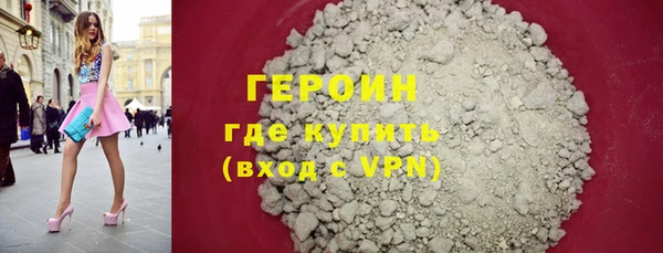дживик Ельня