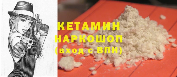 дживик Ельня