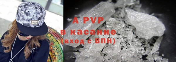 дживик Ельня