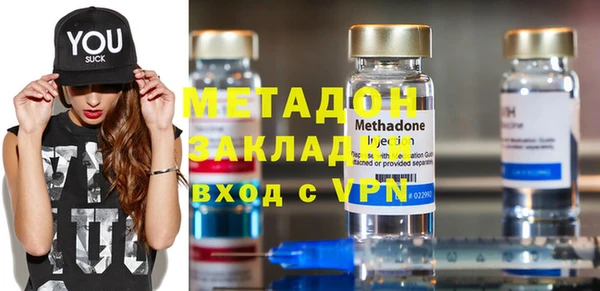 дживик Ельня