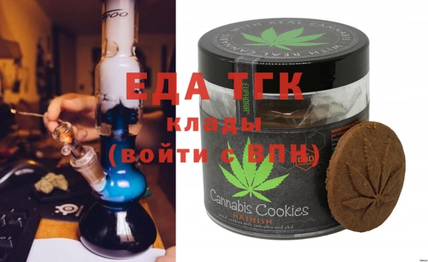 дживик Ельня
