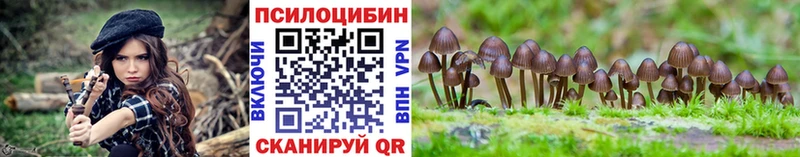 Галлюциногенные грибы MAGIC MUSHROOMS  Купить где  Лермонтов 